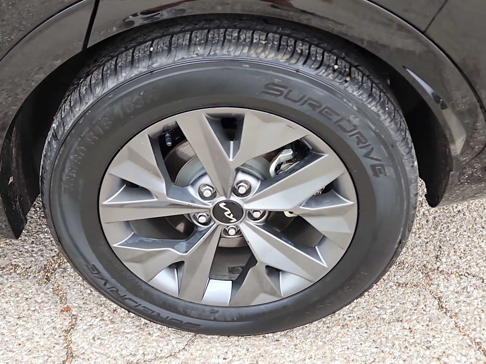 2024 Kia Sportage SX