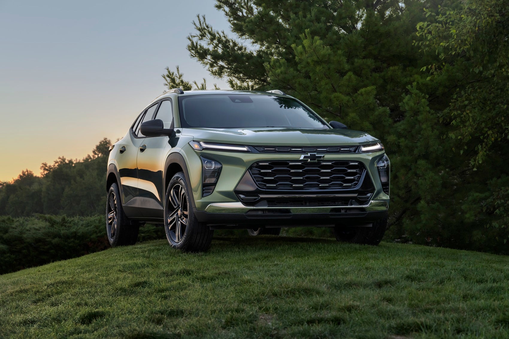 Discover the Latest Models 